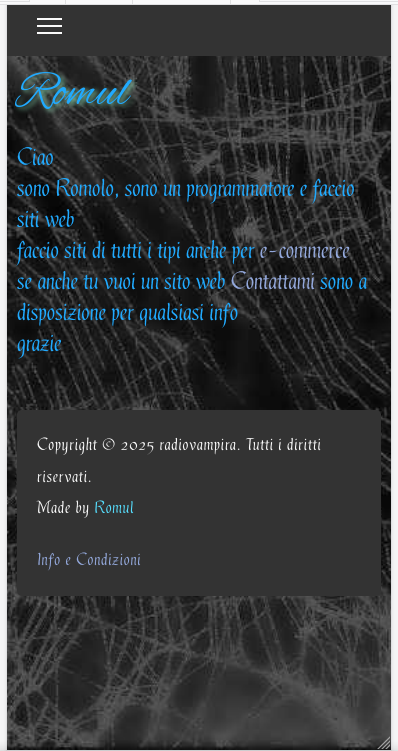 Istantanea_2025-07-29_10-18-00.png