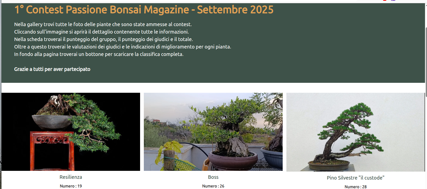 27234c36-6bc4-4bbd-9230-30dd04402e55-image.png