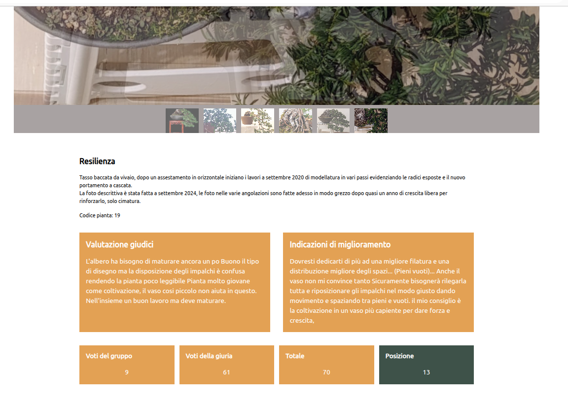 079cfe2f-5f70-447e-b08e-ffb885e8fd32-image.png