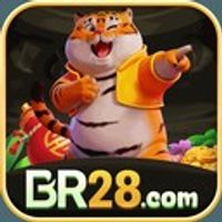 br28