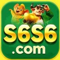 s6s6