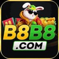 b8b8