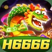 h6666